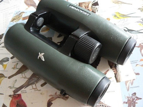 Swarovski 42 el roof - 42,