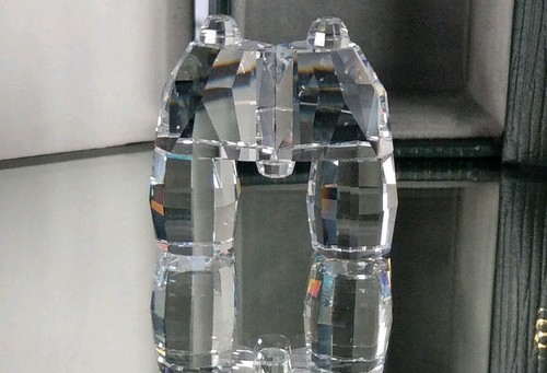 Swarovski binoculars optic - binoculars,